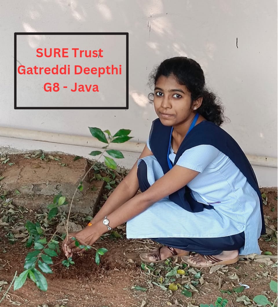 G. DEEPTHI