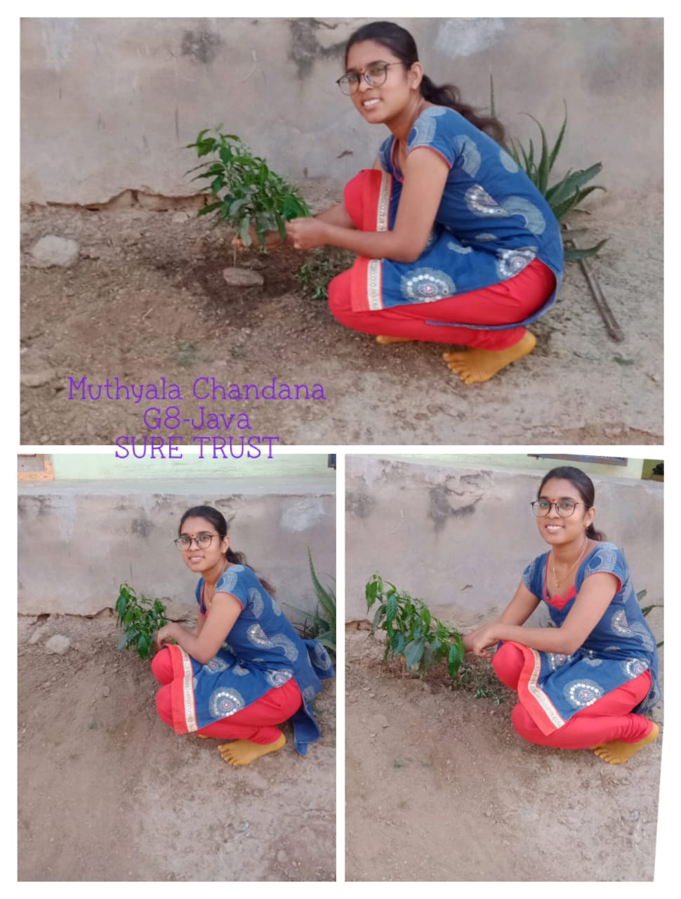M. CHANDANA