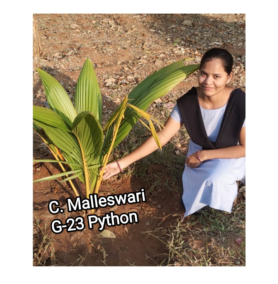 C. MALLESWARI