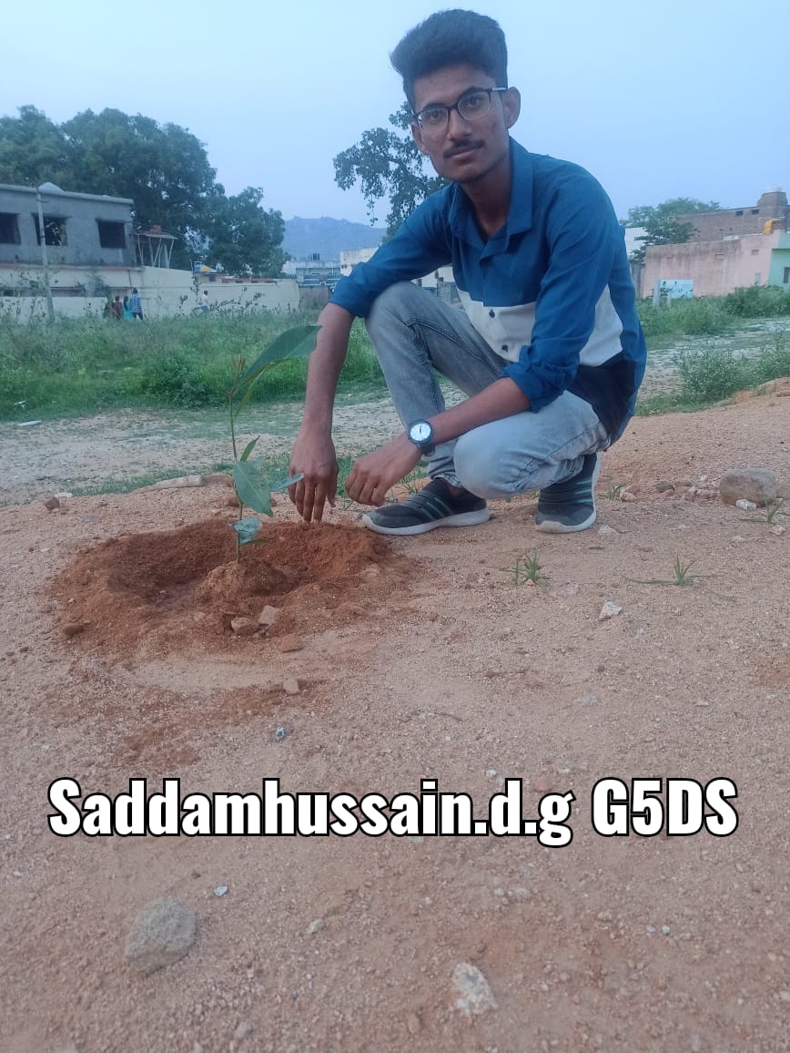 SADDAM HUSSAIN D G