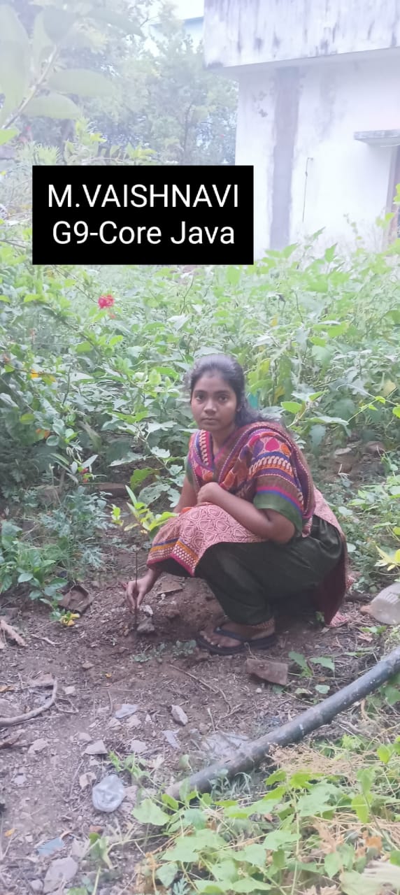 M VAISHNAVI