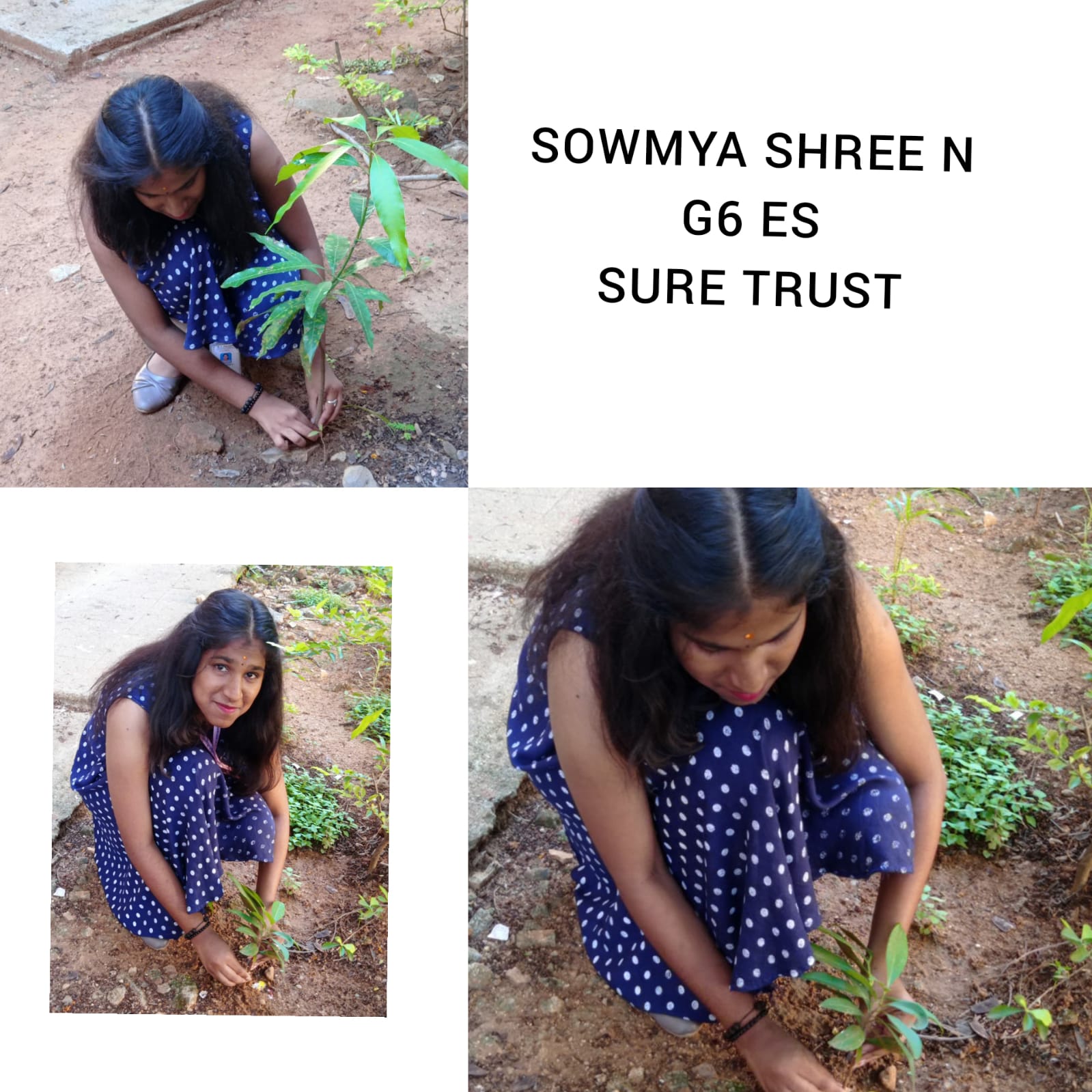 SOWMYA SHREE N
