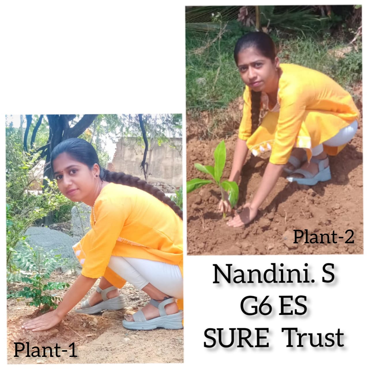NANDINI S