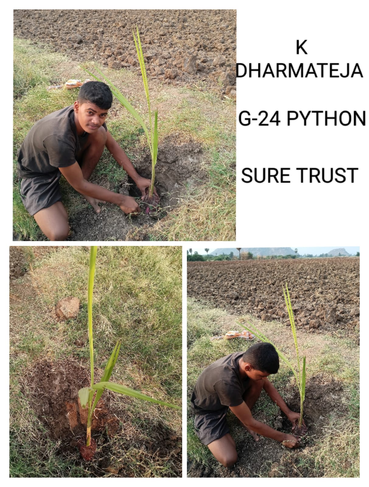 K DHARMATEJA