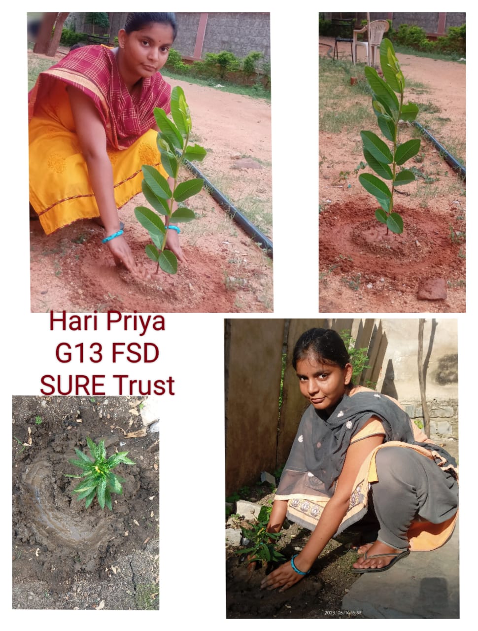 HARI PRIYA