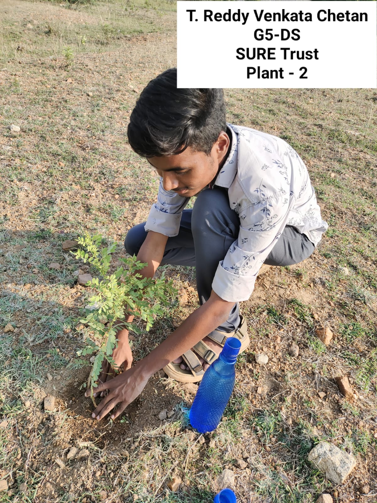 T REDDY VENKATA CHETAN