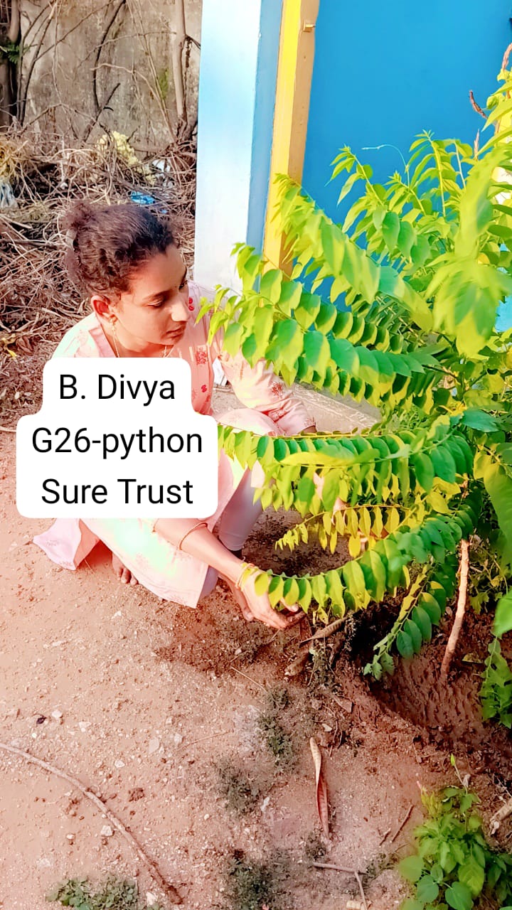 B DIVYA