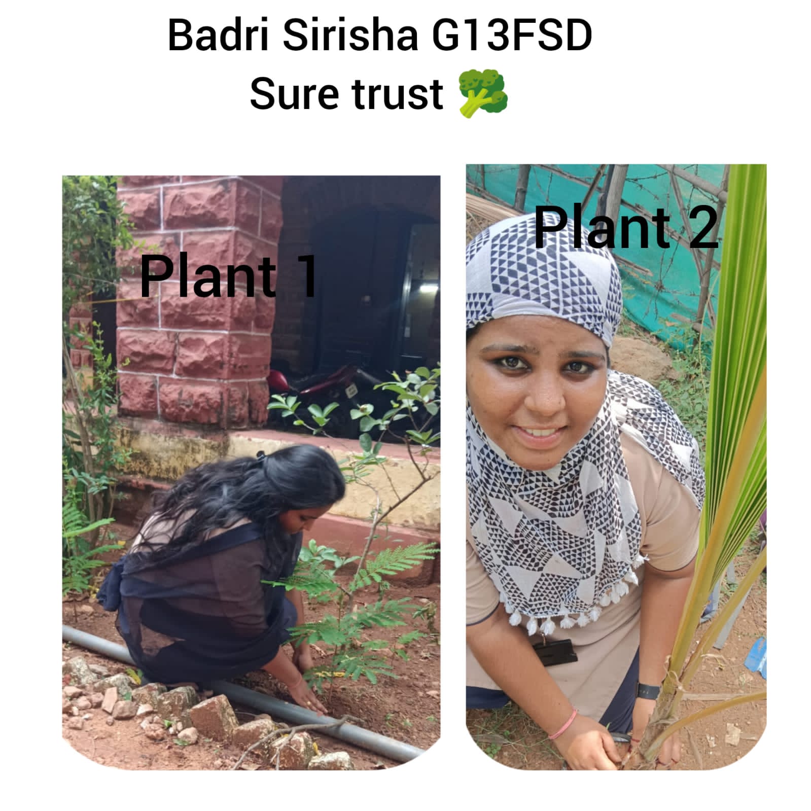 S HARSHA