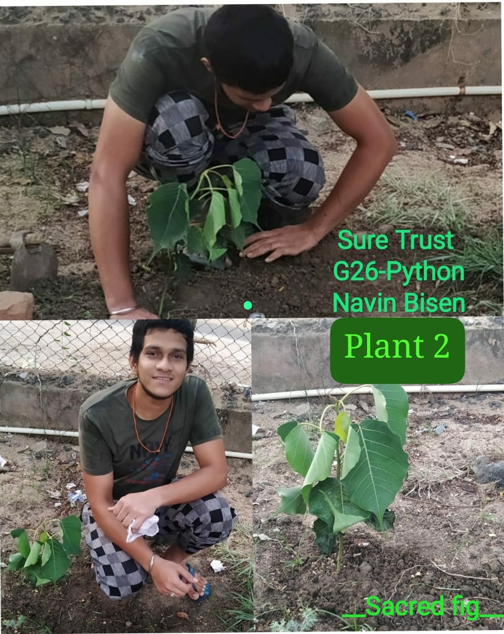 P SAINATH REDDY