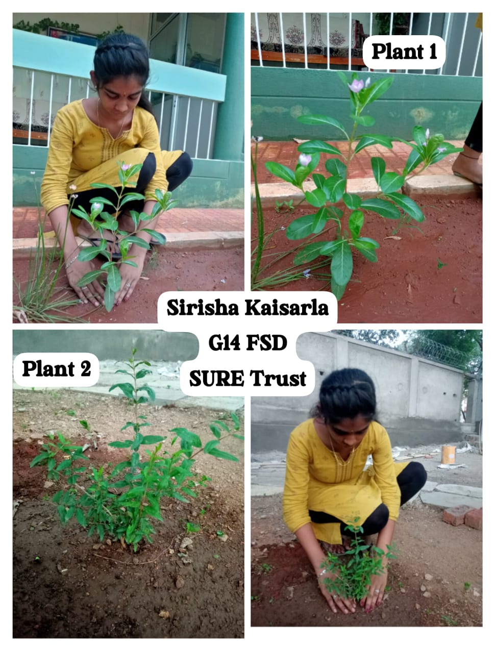 SIRISHA KAISARLA 