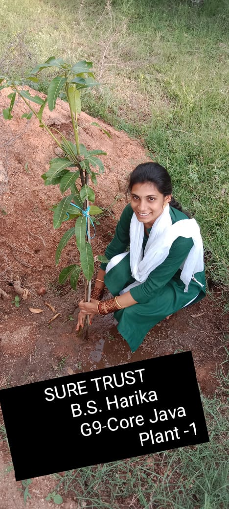 B S HARIKA