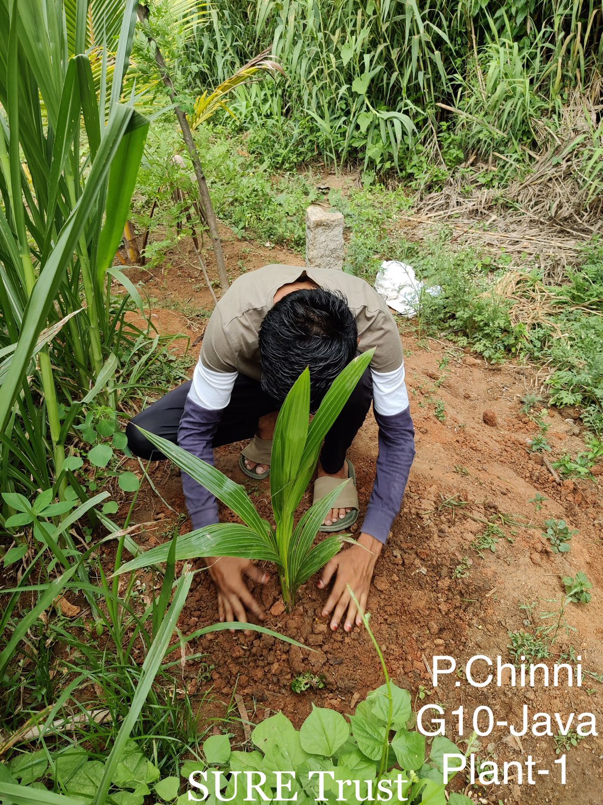 P CHINNI