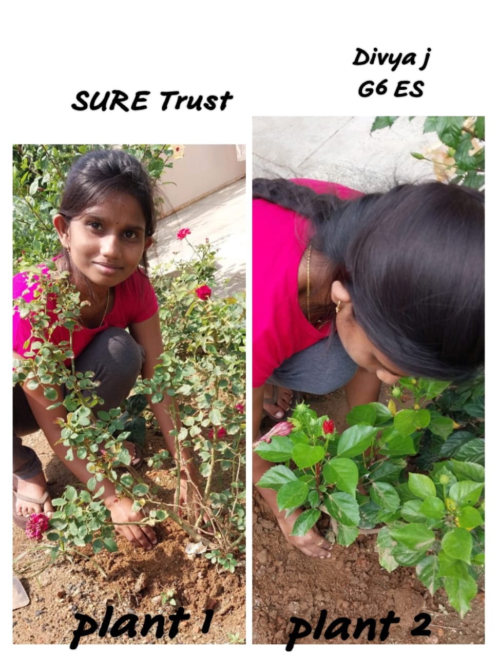 DIVYA J