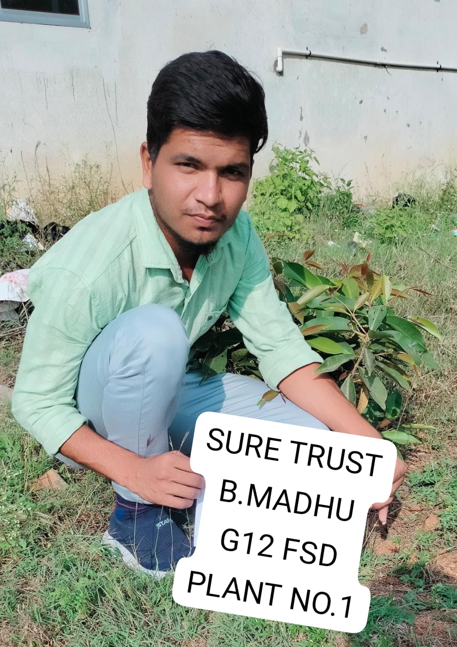 B MADHU