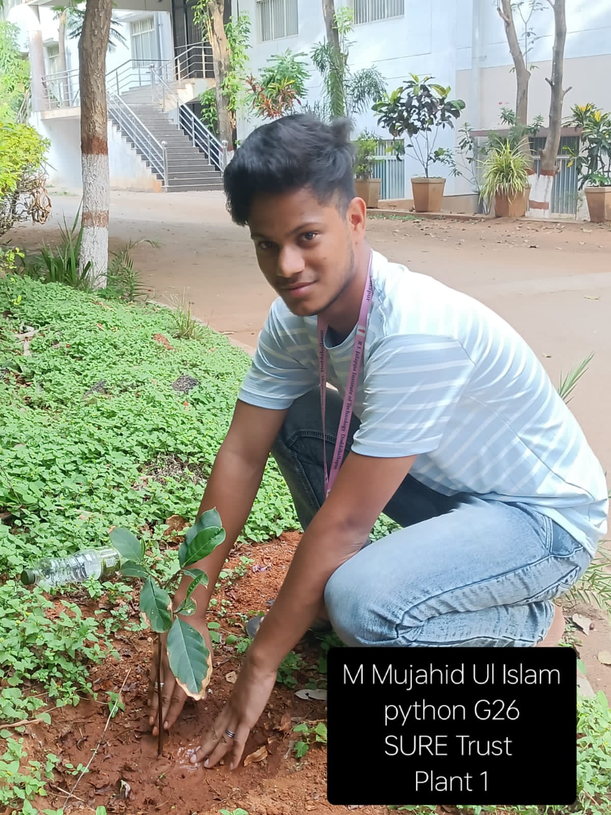 M MUJAHID UI ISLAM