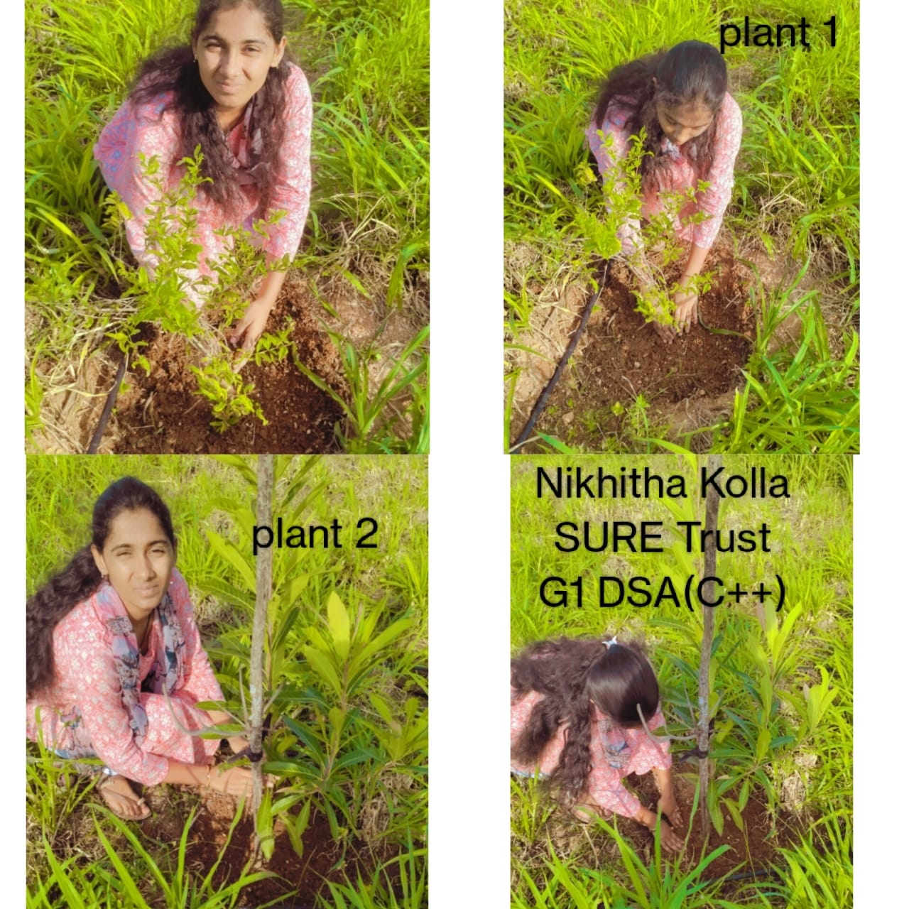 NIKHITHA KOLLA