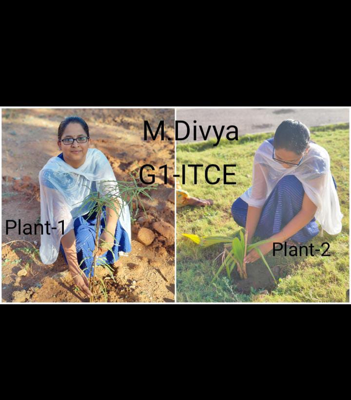 M DIVYA