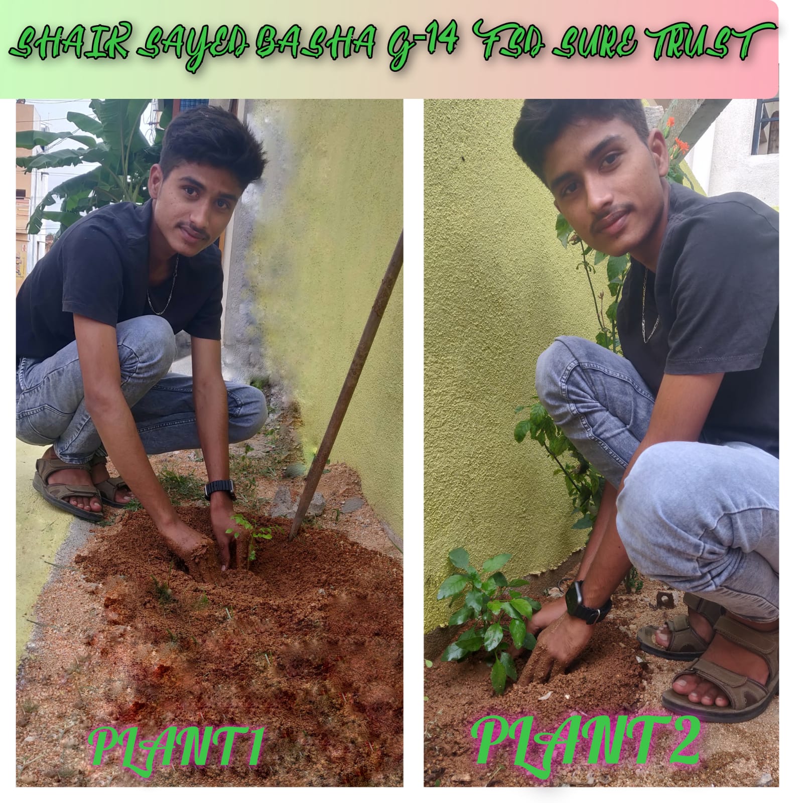 SHAIK SAYED BASHA