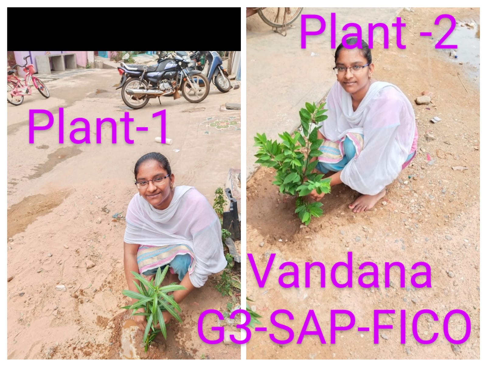 VANDANA