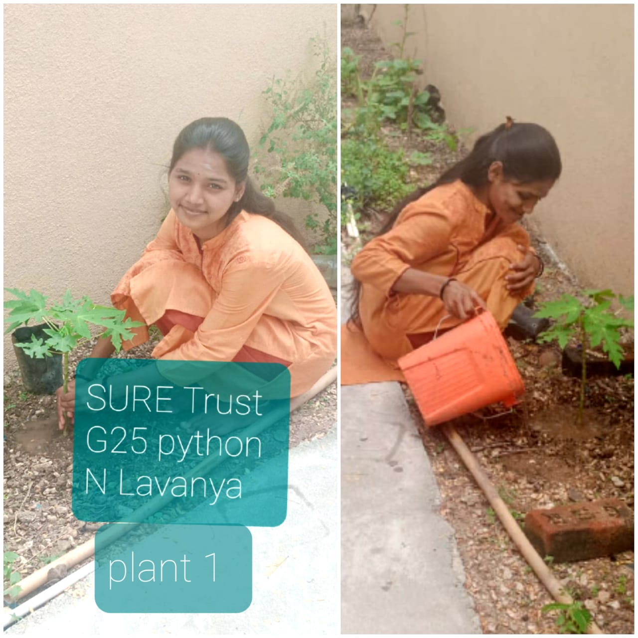 N LAVANYA