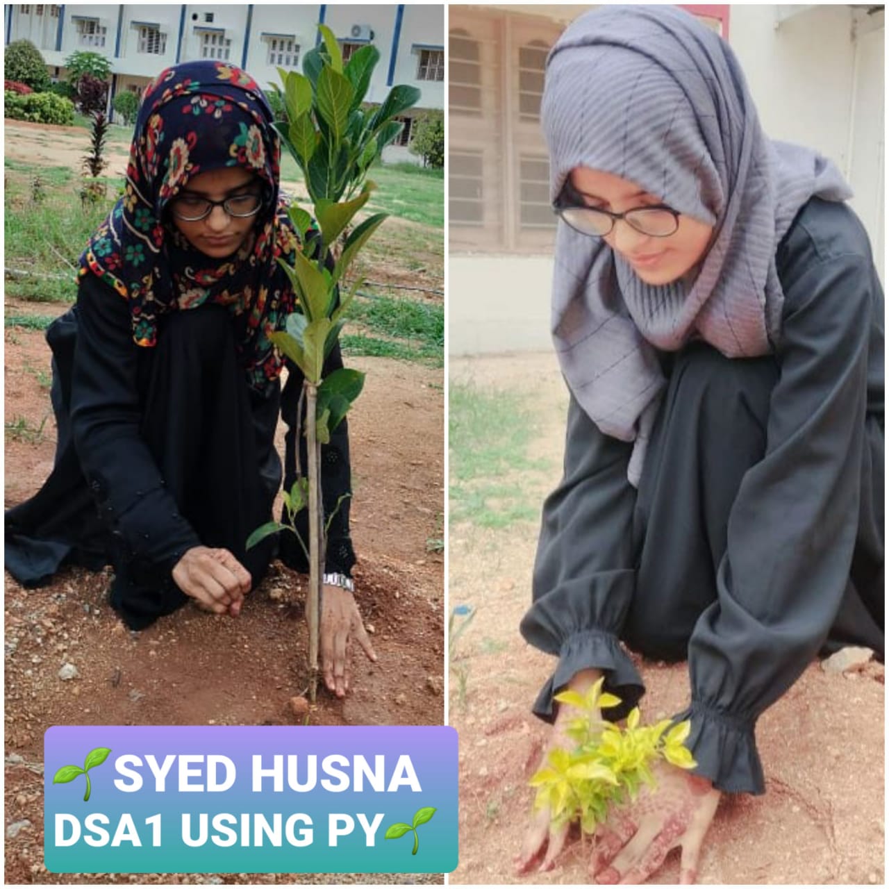 SYED HUSNA