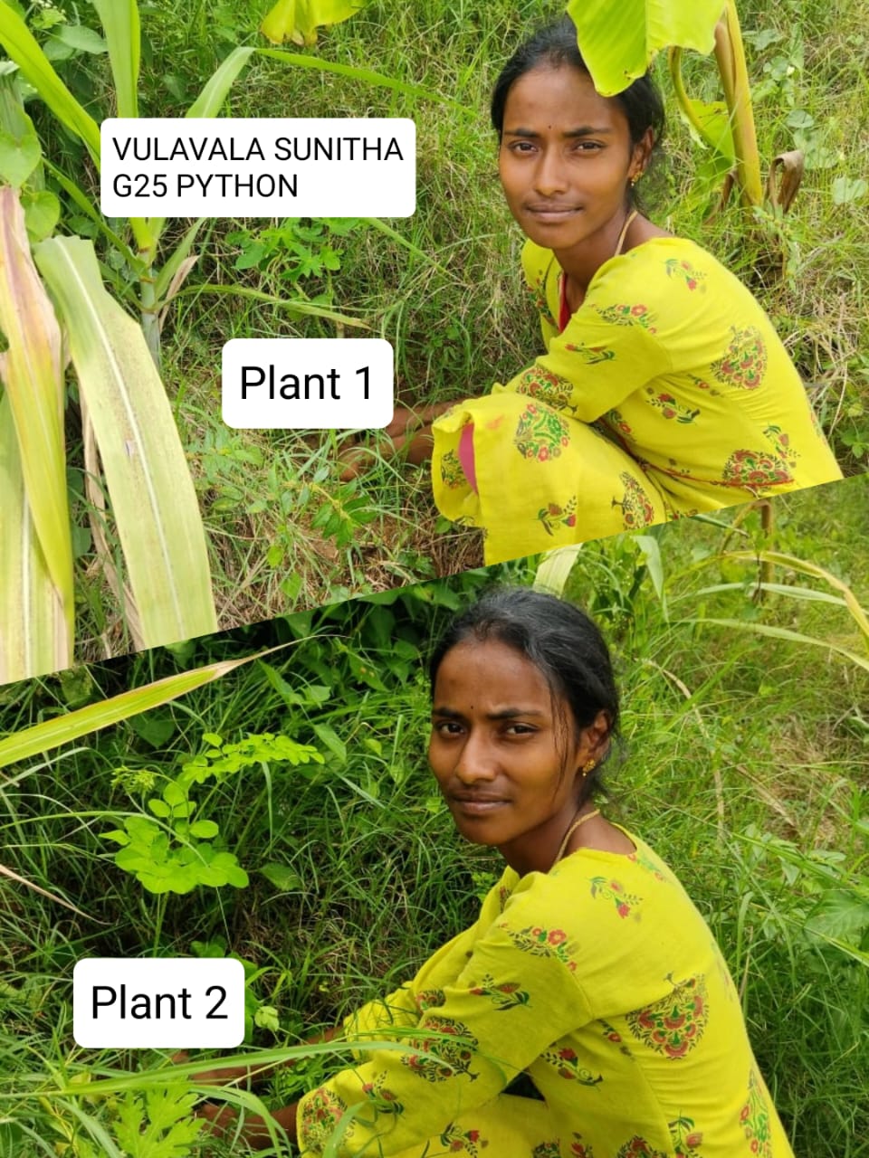 VULAVALA SUNITHA