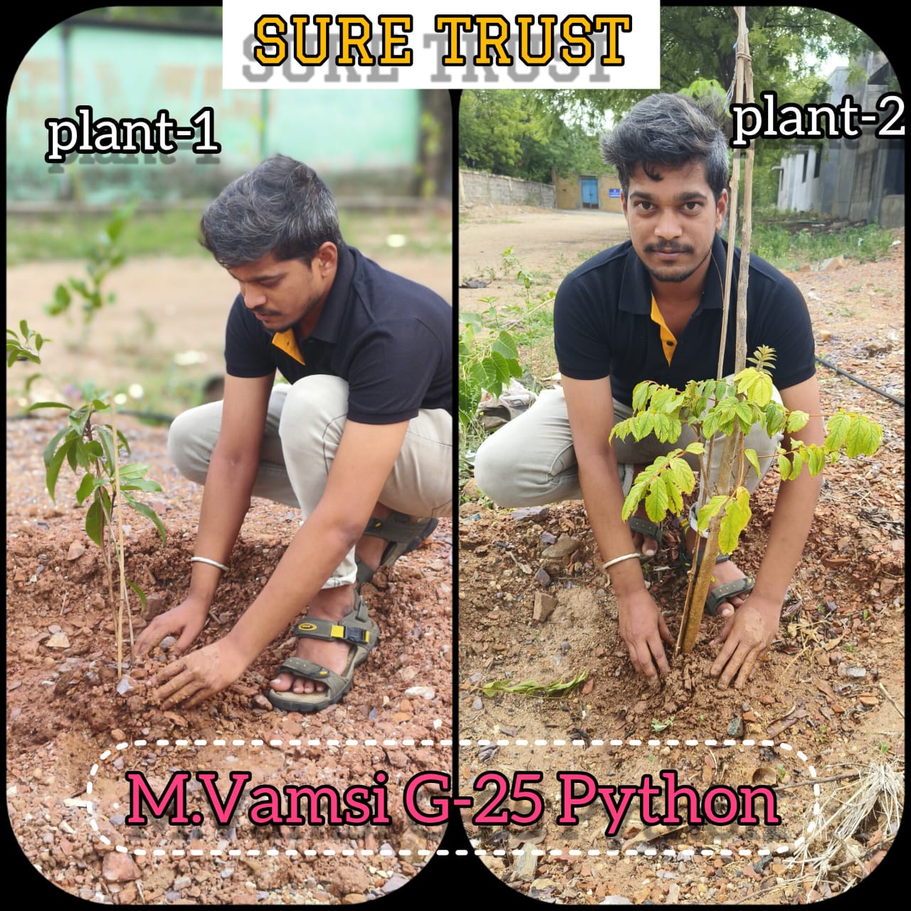 M VAMSI