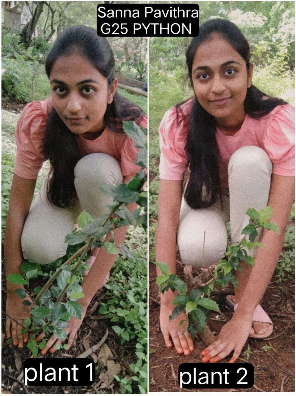 SANNA PAVITRA
