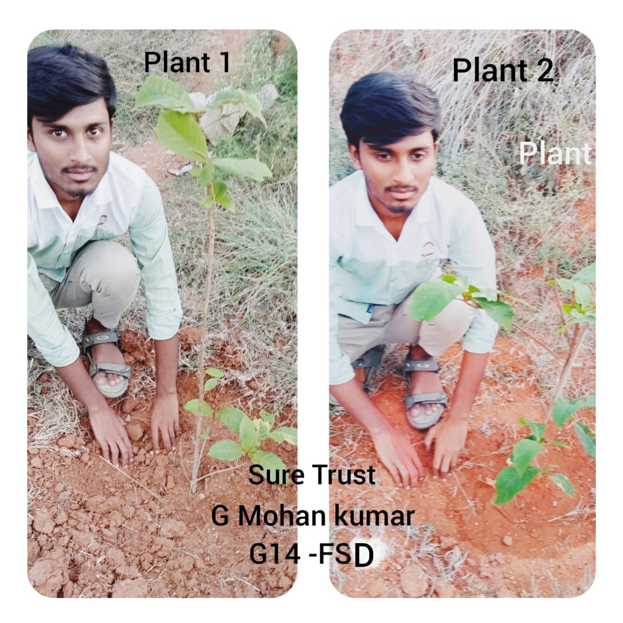 G MOHAN KUMAR 