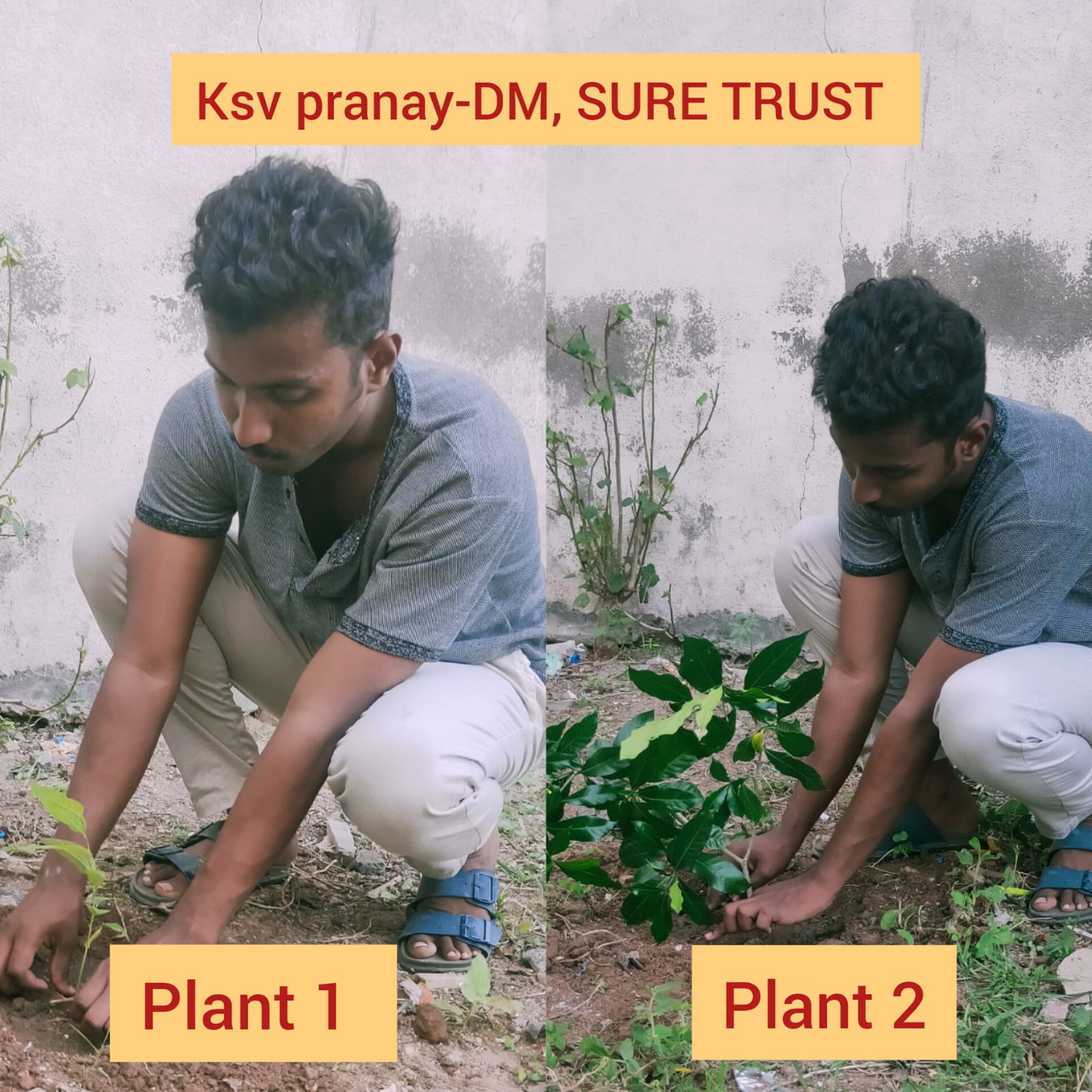 KSV PRANAY