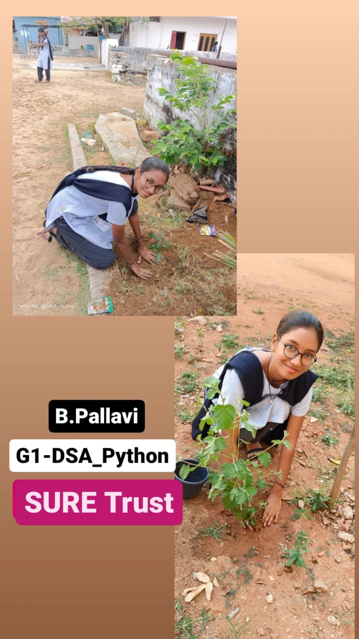 B PALLAVI