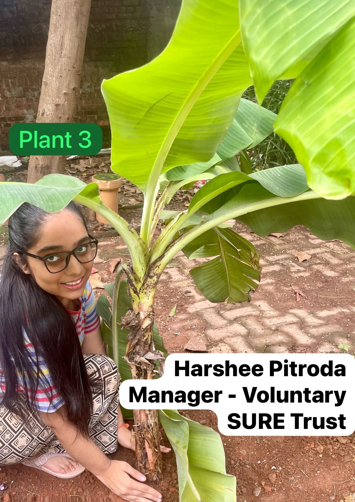 HARSHEE PITRODA