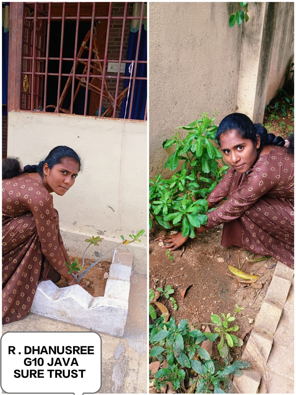 R DHANUSREE