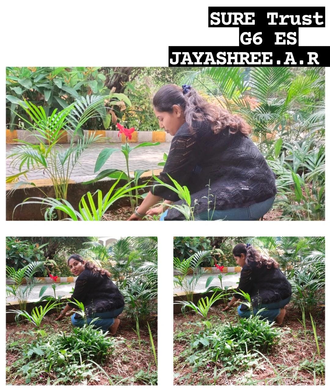 JAYASHREE A R
