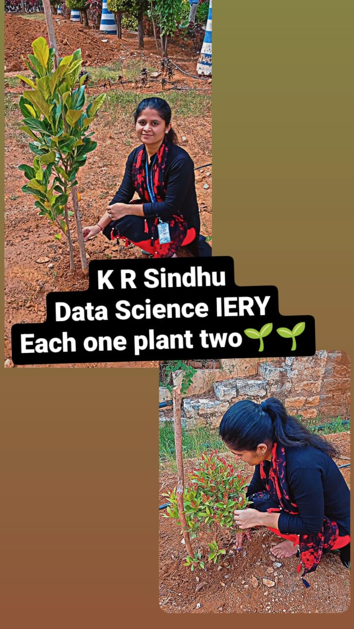 K R SINDHU