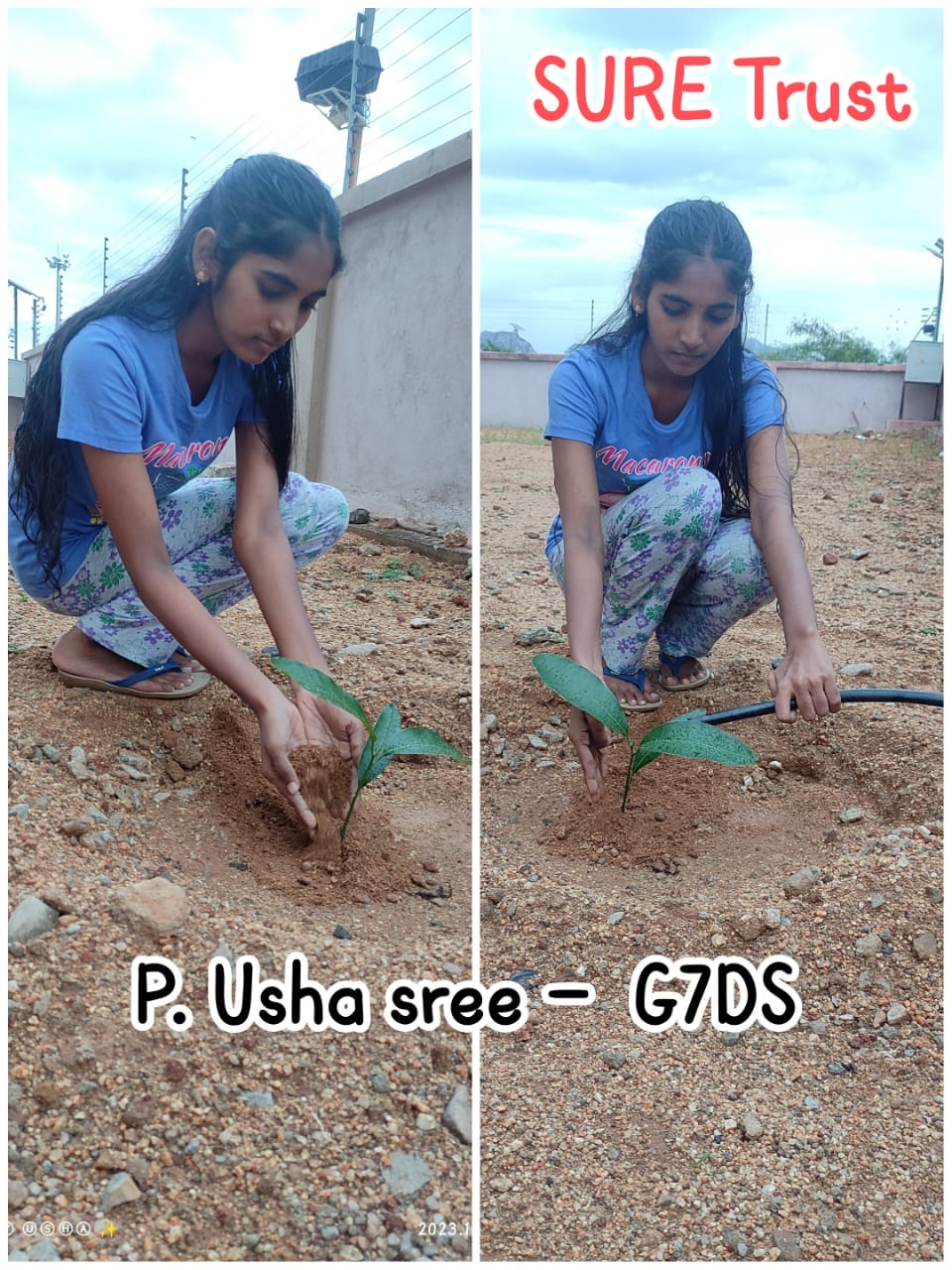 P USHASREE