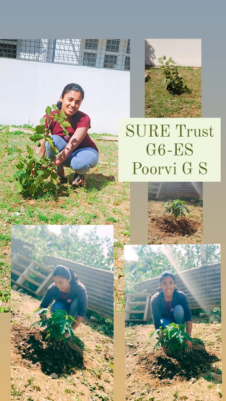 POORVI G S