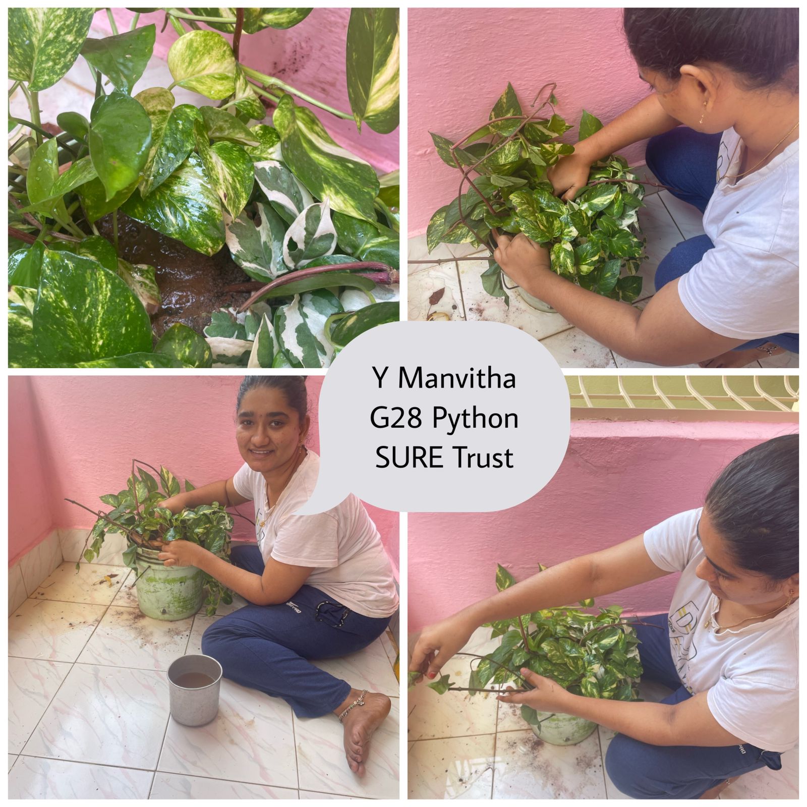 Y MANVITHA