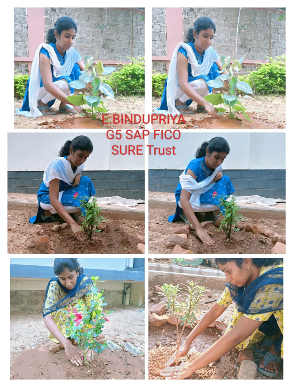 E BINDUPRIYA