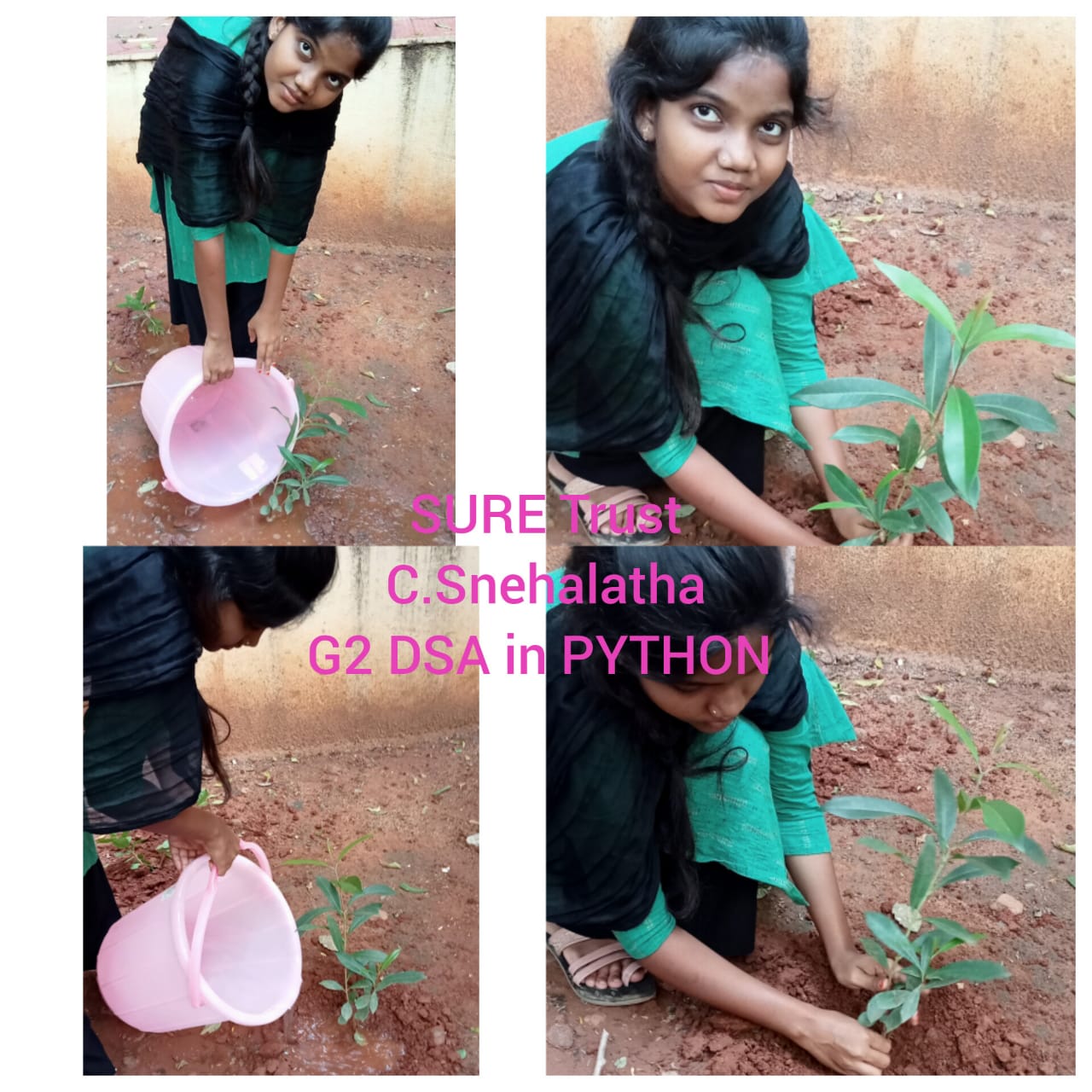 C SNEHALATHA