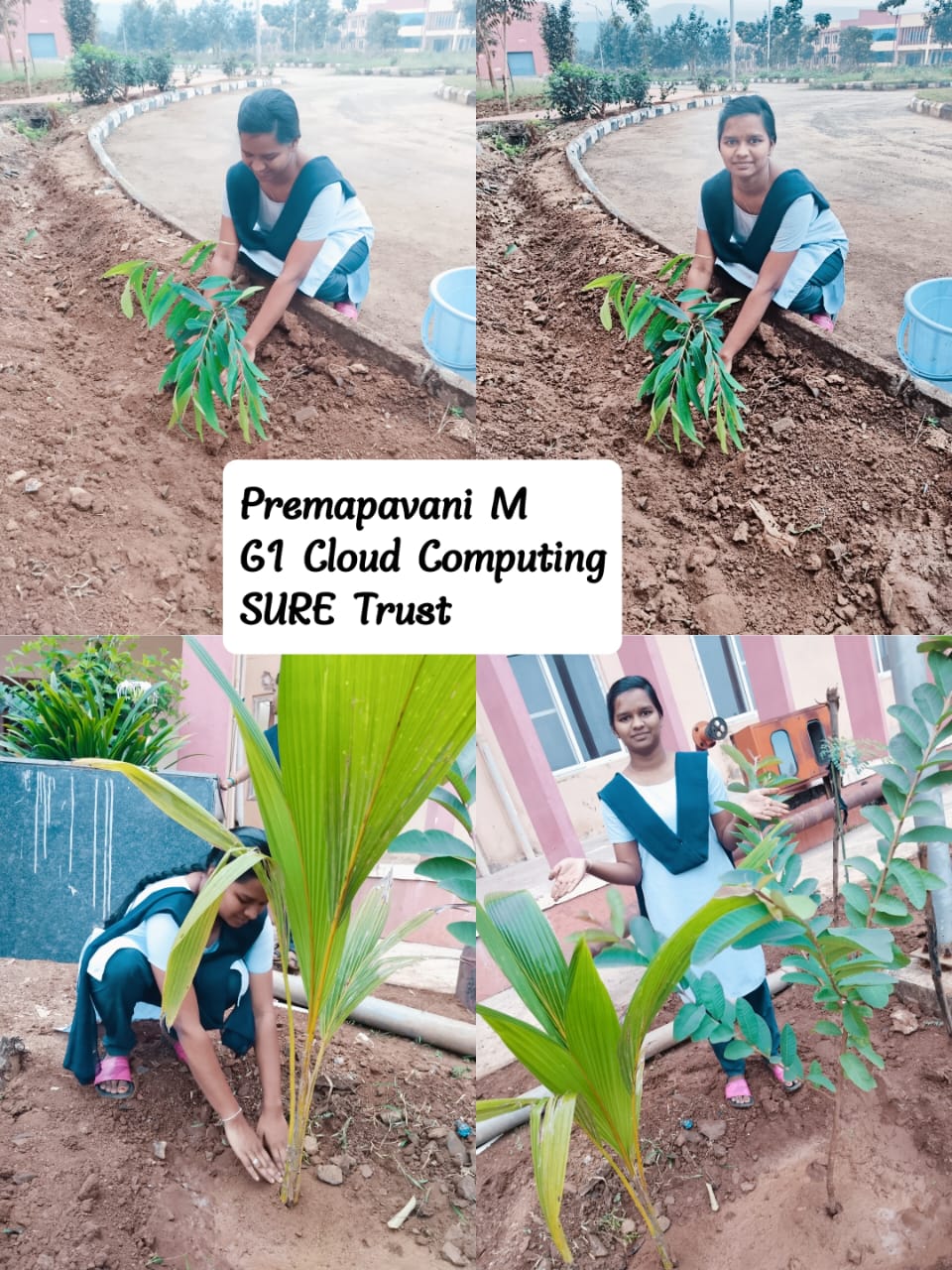 PREMAPAVANI M