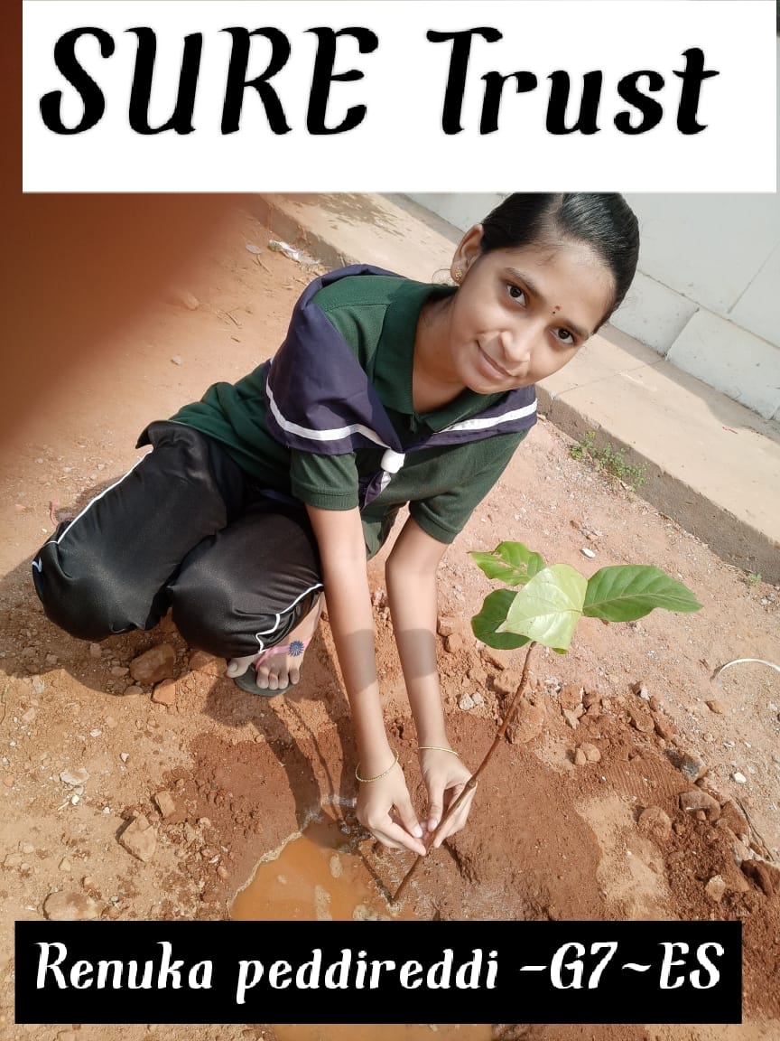 RENUKA PEDDIREDDI
