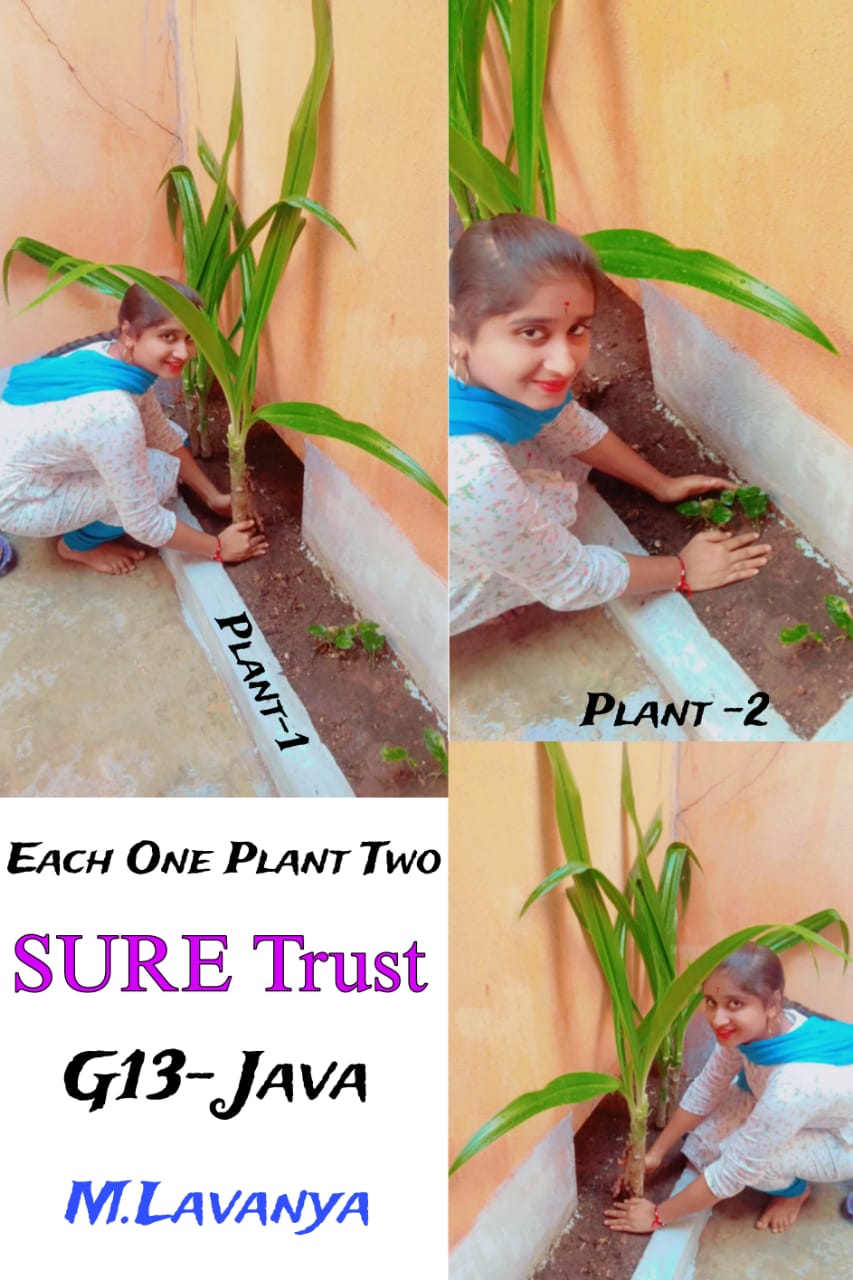 M LAVANYA