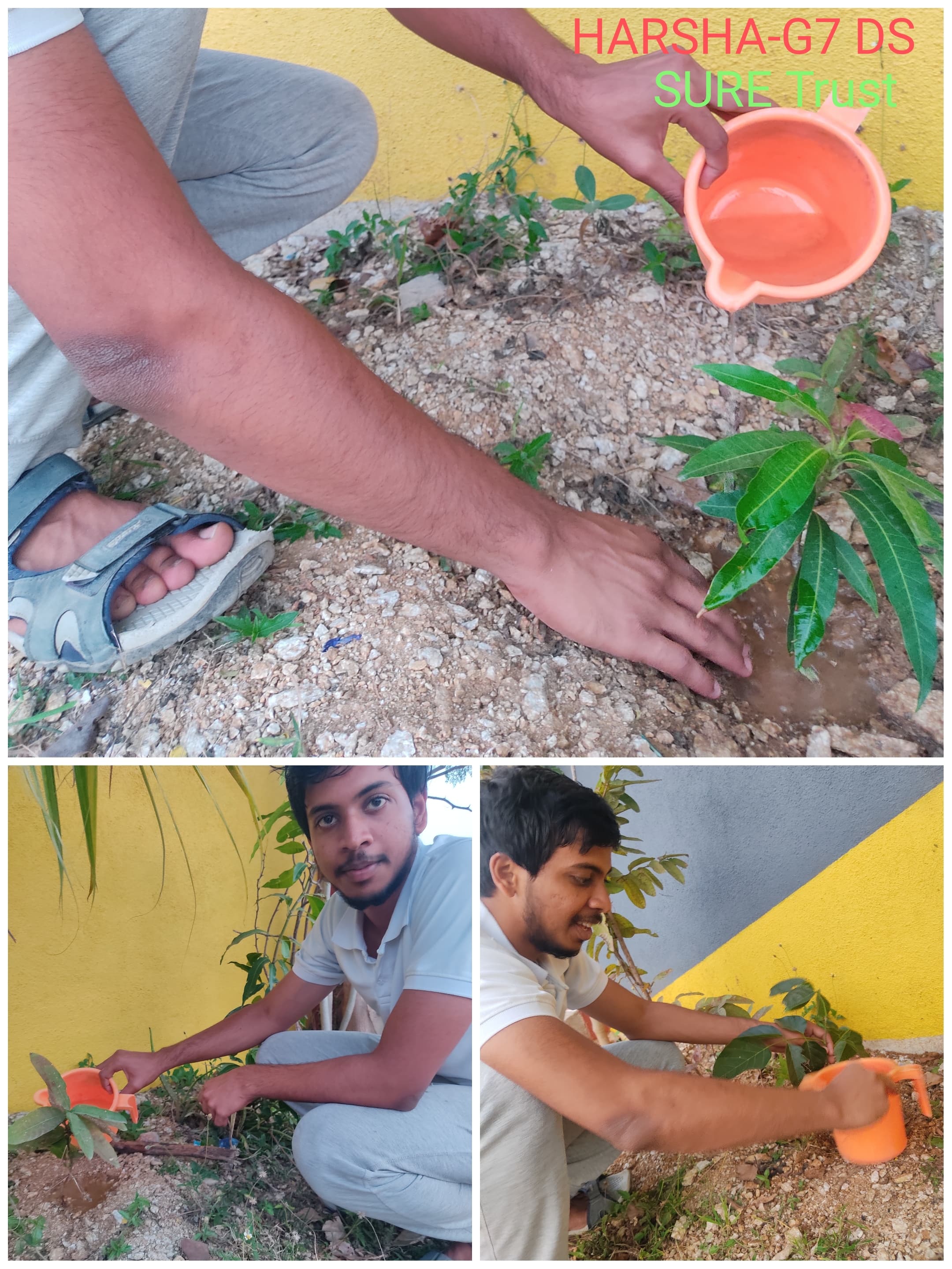 HARSHA