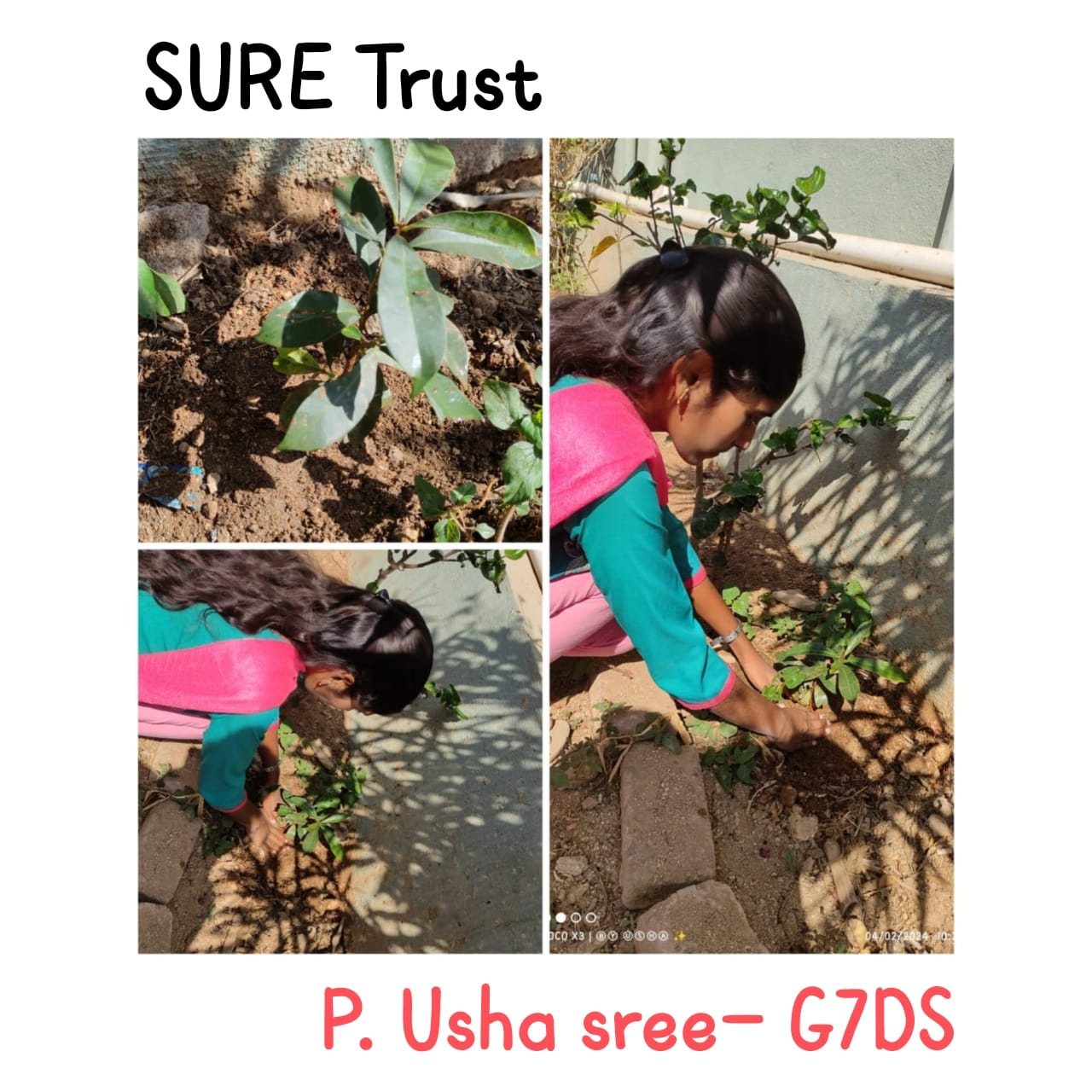 P USHA SREE