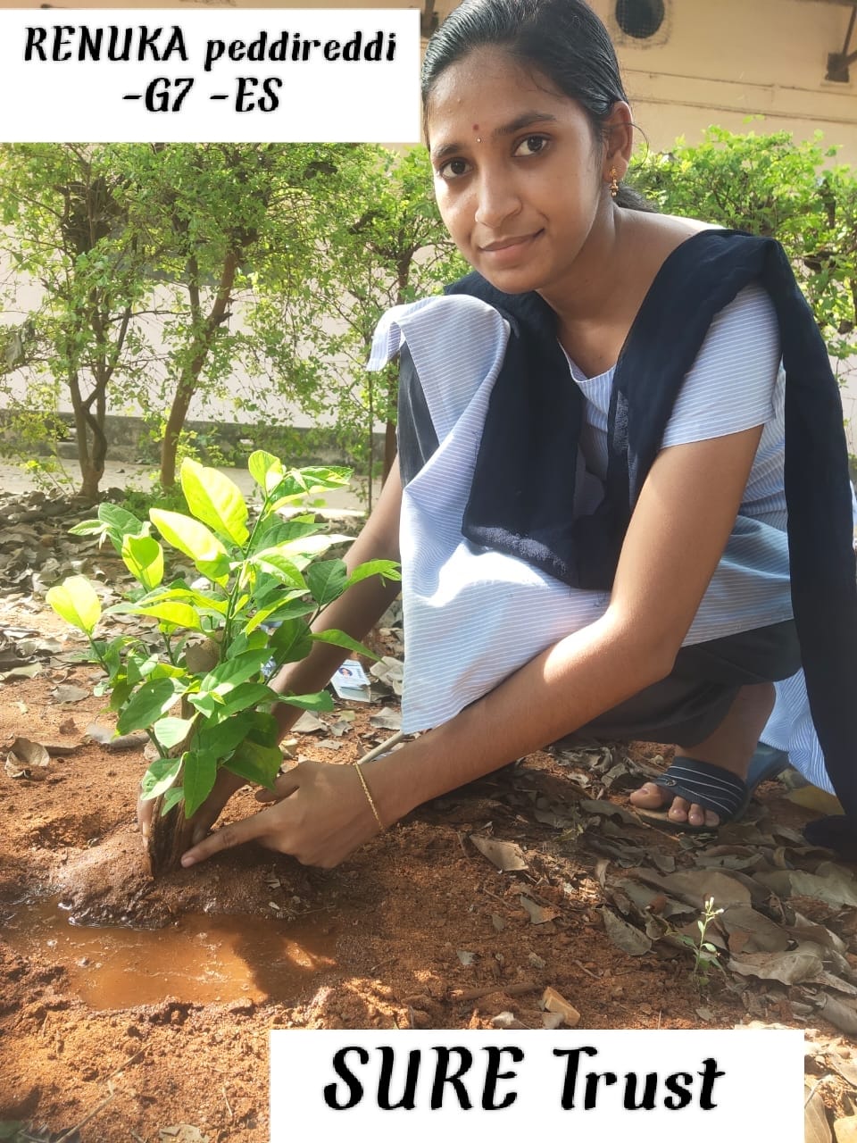 RENUKA PEDDIREDDI
