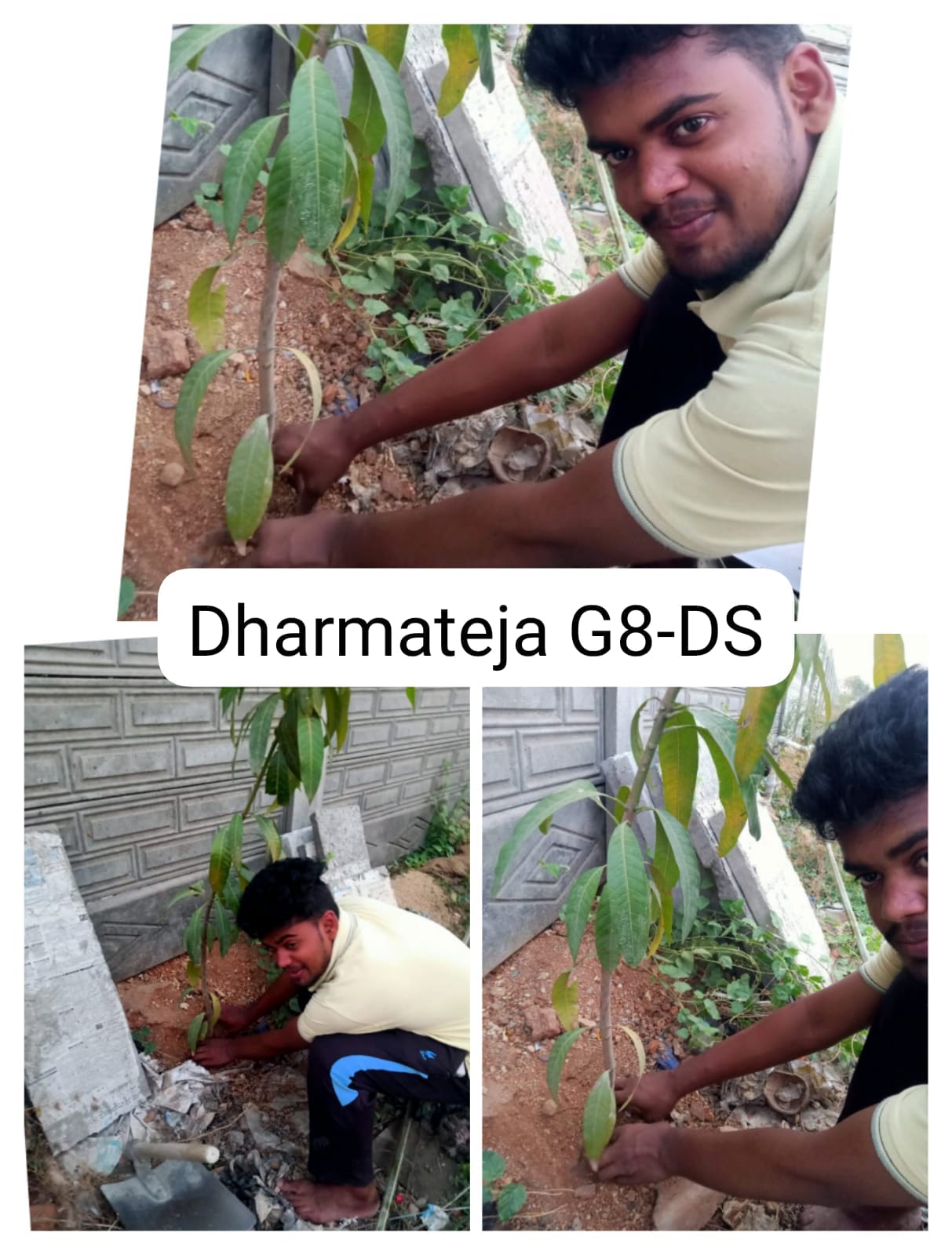 K DHARMATEJA