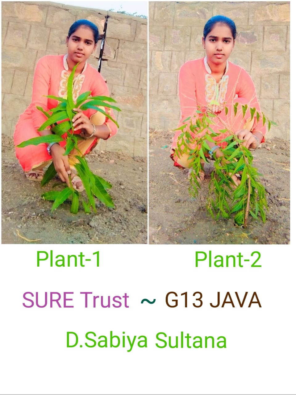 D SABIYA SULTANA