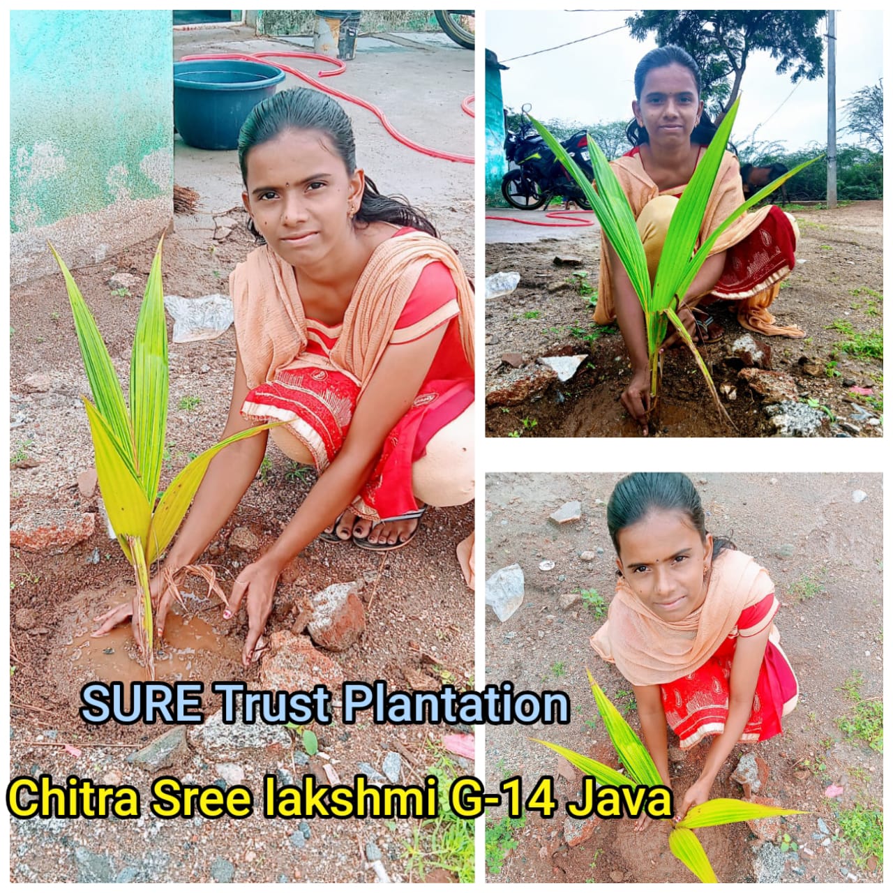 CHITRA SREE LAKSHMI