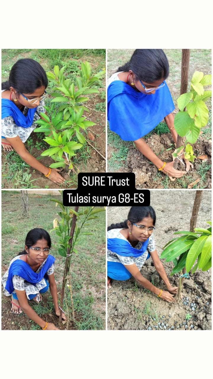 TULASI SURYA